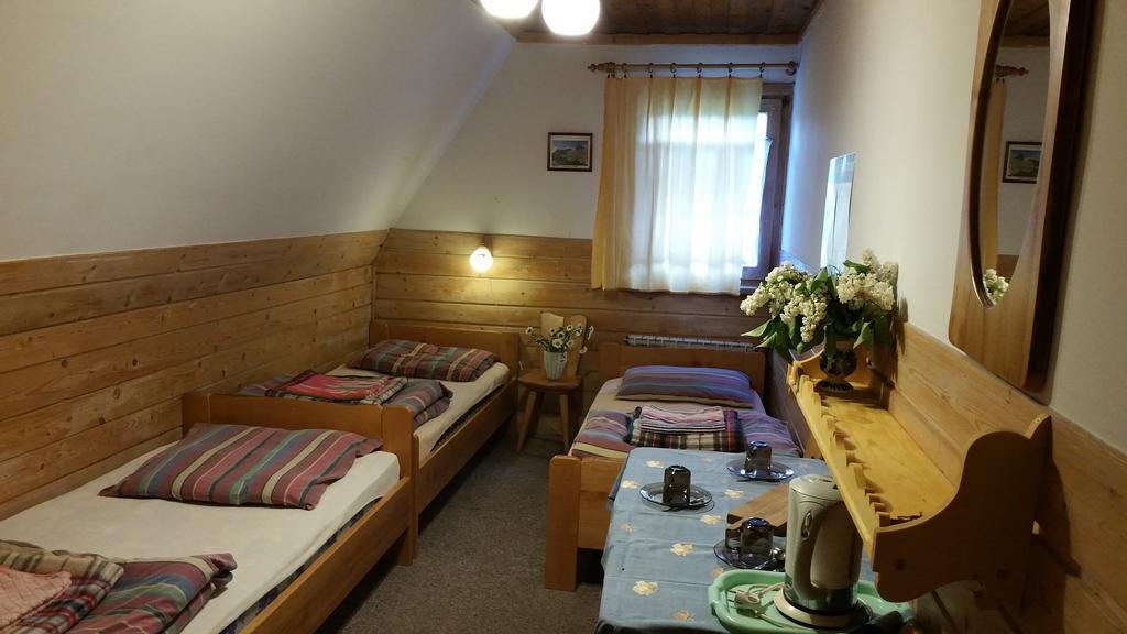 Camping Harenda Pokoje Goscinne I Domki 자코파네 외부 사진