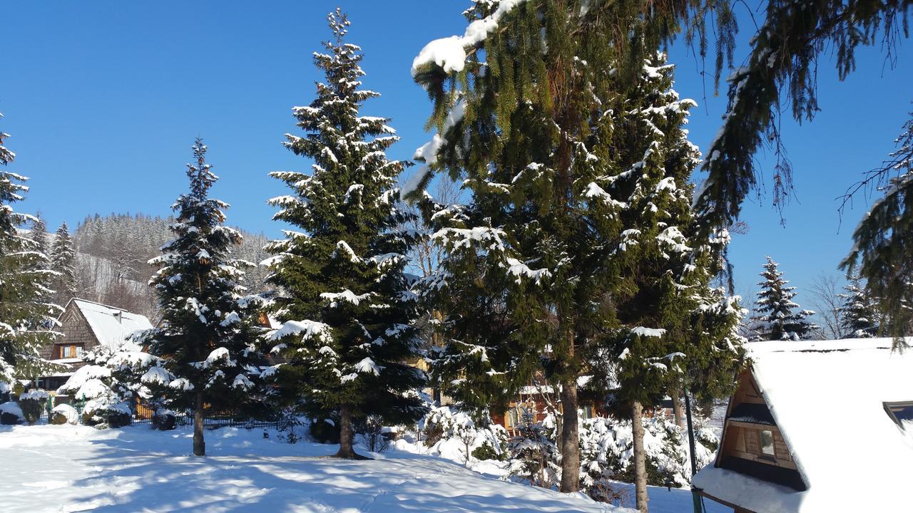 Camping Harenda Pokoje Goscinne I Domki 자코파네 외부 사진