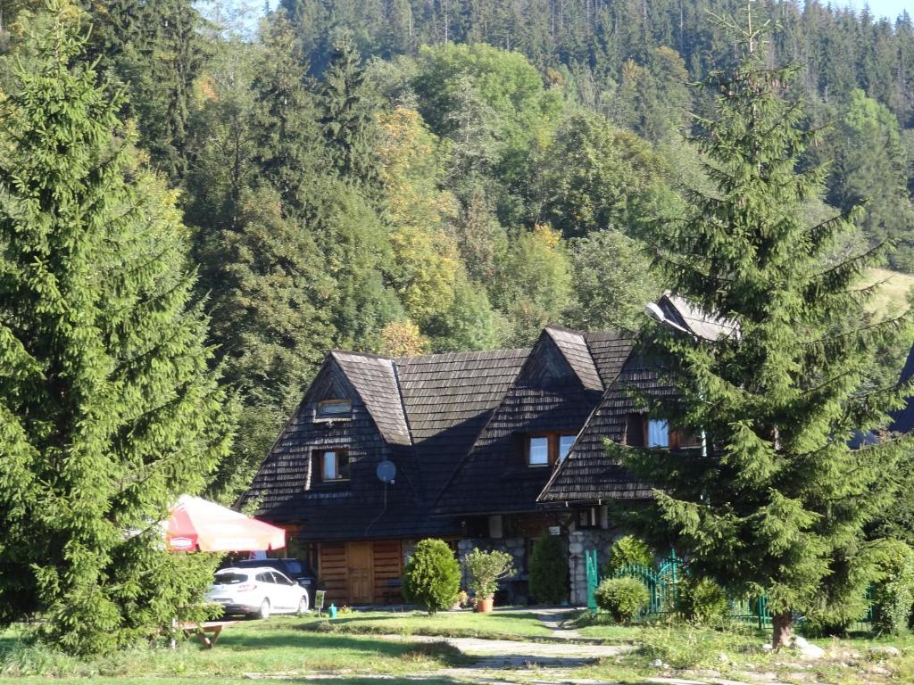 Camping Harenda Pokoje Goscinne I Domki 자코파네 객실 사진