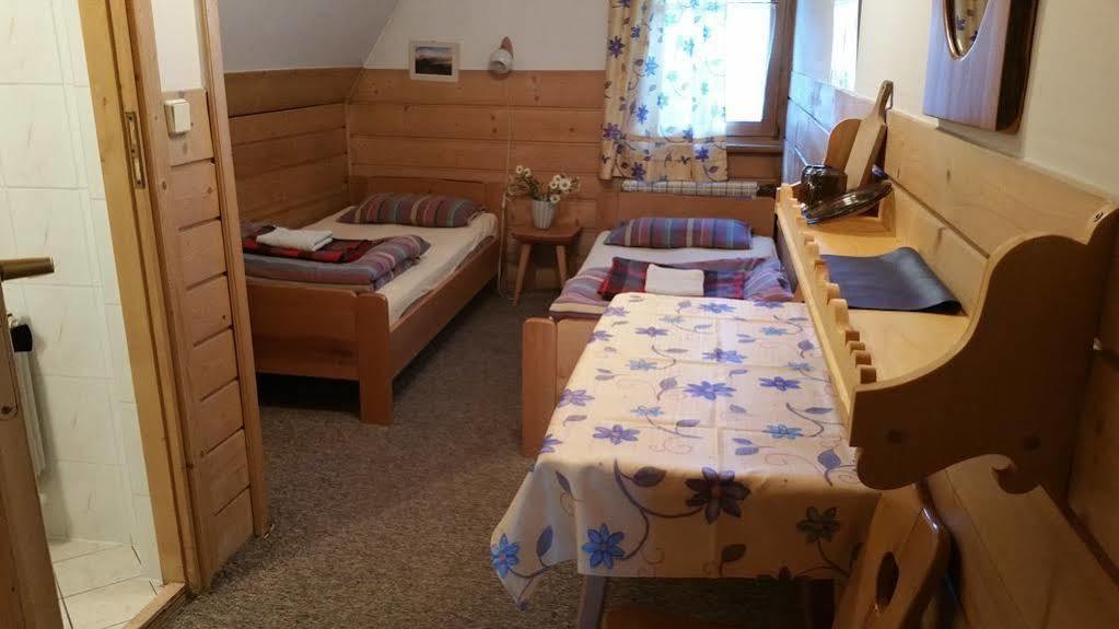 Camping Harenda Pokoje Goscinne I Domki 자코파네 외부 사진
